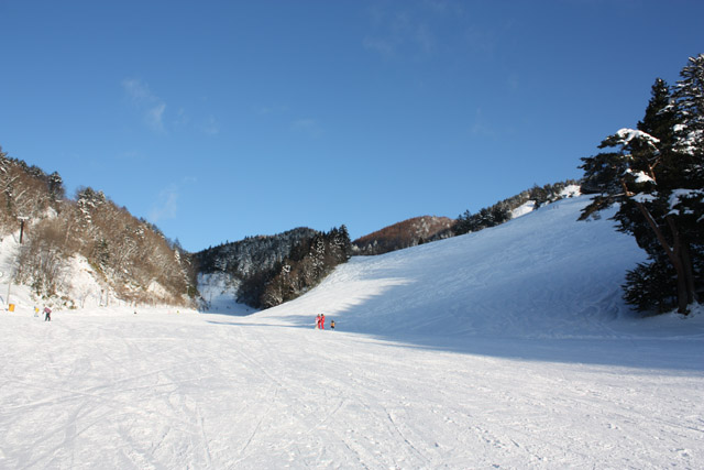 岐阜県 飛騨 飛騨高山スキー場 ベースより ファミリーコース 右手斜面はもみの木ゲレンデ、左奥は白樺コース 岐阜県 飛騨 飛騨高山スキー場 ベースより ファミリーコース 右手斜面はもみの木ゲレンデ、左奥は白樺コース